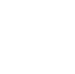 Car wash and cosmetics